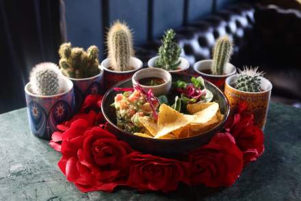 Guacamole - Pop-Up Restaurant Mexicain au Chateau Beaupin 